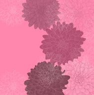 beautiful background with frame of dahlia flowers N3