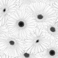 Beautiful monochrome black and white seamless background with flowers N12