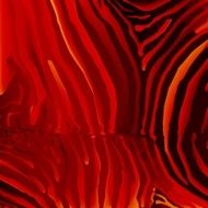 vector zebra background in red