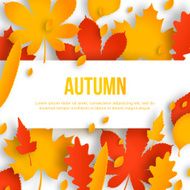Autumn background with leaves N29