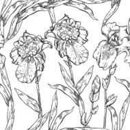 Seamless pattern flowers irises pen and ink monochrome
