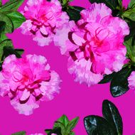 Seamless pattern realistic flowers azalea N2