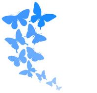 background with a border of butterflies flying N6