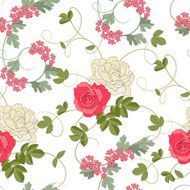 Roses on white background