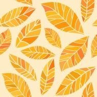autumn leaves N36