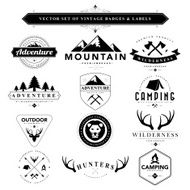 Set of black &amp; white vintage badges and labels N11