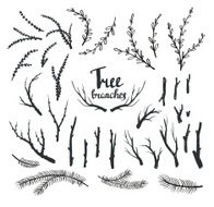 Hand drawn vintage tree branches N2