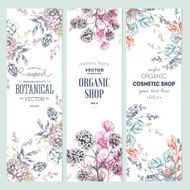 Floral banner collection Organic shop Vector illustration N2