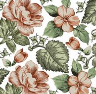Flowers Vector Beautiful background with a flower ornament N38