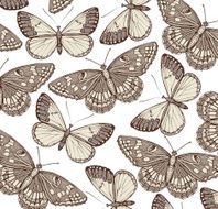 Butterflies Vector Attractive texture