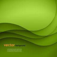 Green Vector Background N3