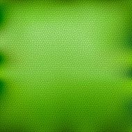 Green leather background N2