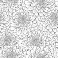 Beautiful seamless background with monochrome black and white flowers N4