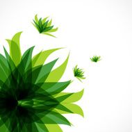 abstract green leaf pattern background N3