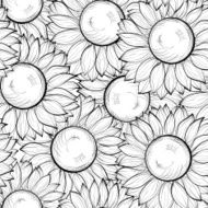 beautiful black and white seamless background with sunflowers N3