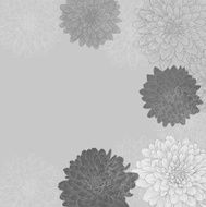 Beautiful monochrome black and white seamless background with flowers N13