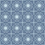 Tangled Lattice Pattern N21