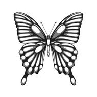 beautiful black and white butterfly with watercolor effect