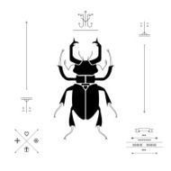 Stag-beetle Geometrical composition Vector N3