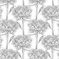 black and white seamless background with flowers aster N2