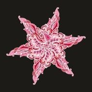 Decorative sea star N2