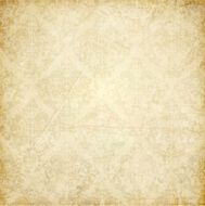 Vector old grunge paper background N8