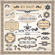 Calligraphic Design Elements N8