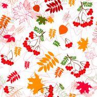 seamless leaf and rowanberrys pattern vector background N3