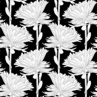Beautiful monochrome black and white seamless background with flowers aster N4