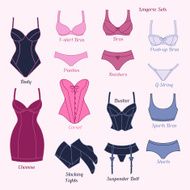 Fashion lingerie set of various female underwear N3
