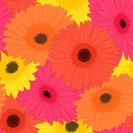 Beautiful background with gerbera flower N3