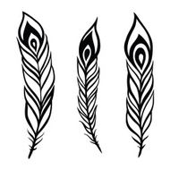 Peacock Feather set N6