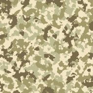 Camouflage pattern N7