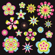 colorful flower set