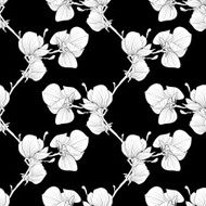 black and white seamless background with blooming magnolia tree branches