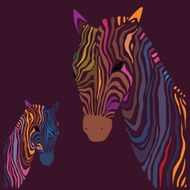 Zebra Vector illustration N3