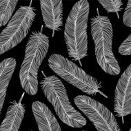 black-and-white Feather seamless background