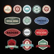 Set of retro vintage badges and labels N14