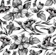 Flowers Vector Beautiful background with a flower ornament N41
