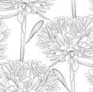 black and white seamless background with flowers aster N3