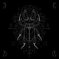 Stag-beetle Geometrical composition Vector N4
