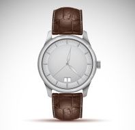 vector wristwatch N2