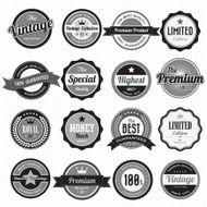 Set of retro vintage badges and labels N15