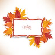 Autumn Label