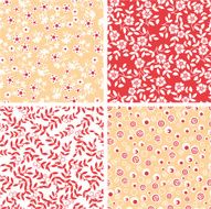 Four patterns N2
