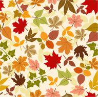 Floral Pattern N568