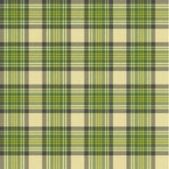 Seamless tartan pattern N83