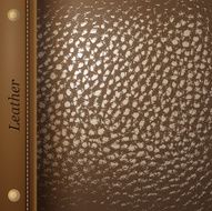 Leather background N18