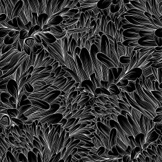 Beautiful monochrome black and white seamless background with flowers aster N3