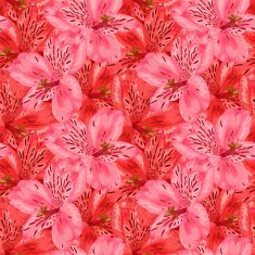Beautiful seamless background with pink and red alstroemeria flower N2